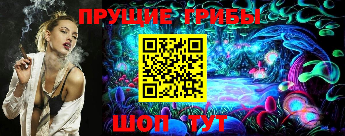 Истра  Галлюциногенные грибы Psilocybe  Вход с VPN 