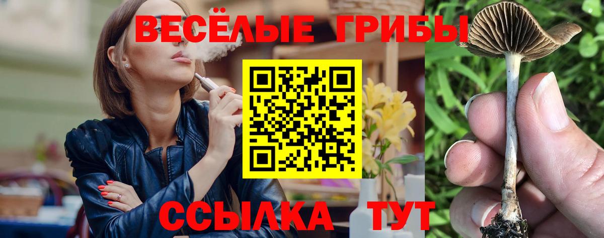 Галлюциногенные грибы ЛСД Истра